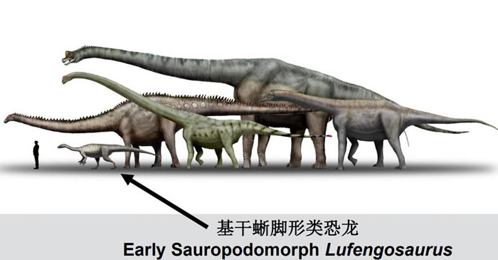 恐龙牙齿演化研究取得重要成果