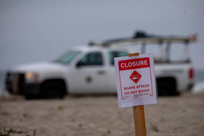 美国加州北部曼雷萨州立海滩冲浪客被未知品种鲨鱼攻击当场死亡