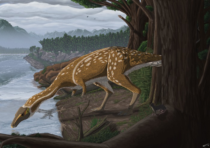 澳大利亚维多利亚州发现1.1亿年前外形怪异的恐龙——伊拉夫罗龙elaphrosaur