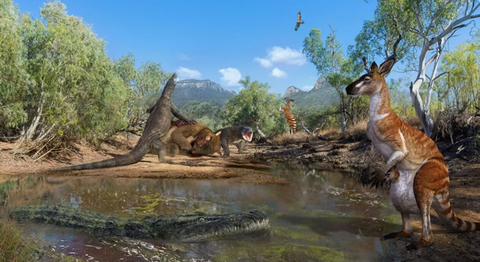 古生物学家追踪导致澳大利亚远古超大型袋熊、袋鼠和鳄鱼灭绝的原因