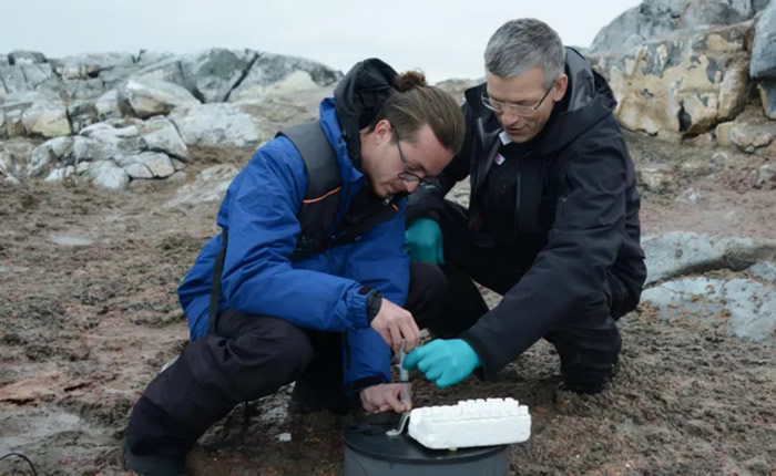 《Science of the Total Environment》：研究企鹅粪便跟土壤温室气体通量的关系