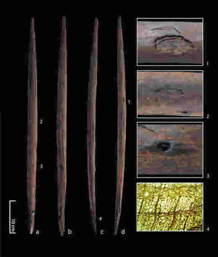 考古团队也在附近发现早期猎人狩猎的工具，以及遗骨上有磨擦的痕迹