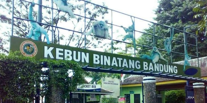 印尼万隆的巴东动物园粮食快耗尽 将宰杀动物喂苏门答腊虎、爪哇豹