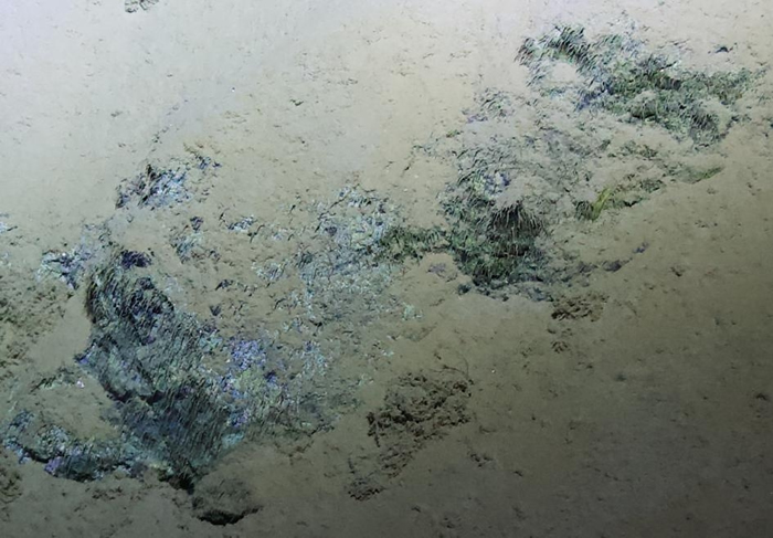 这些被认为是微生物群落的细丝状结构物，是在2012年前往马里亚纳海沟（Mariana Trench）的「深海挑战」期间，在水深达1万668米的瑟琳娜深渊（Sir