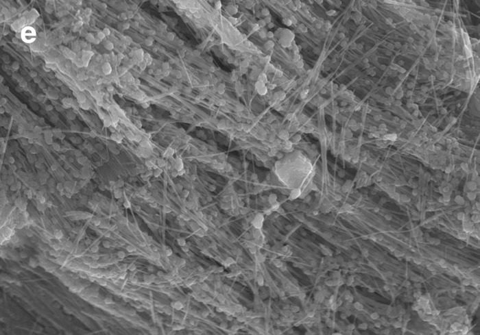 一张瑟琳娜深渊取得样本的电子扫描显微照片，里面能看到微小的细丝紧密结合着富含碳的结构，因而被当作可能是微生物群存在的证据。 PHOTOGRAPH BY KEVI