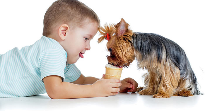 俄罗斯犬业协会在儿童节之际制定最适合与孩子相处的犬种清单