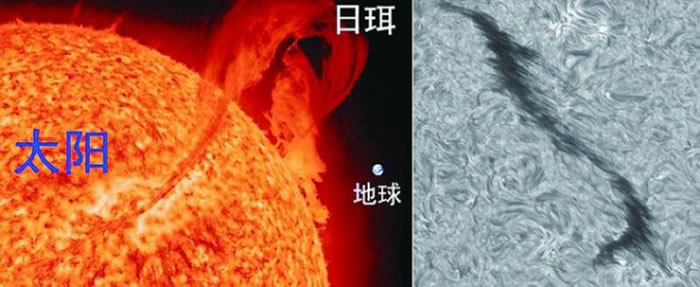 日冕是太阳的最外层大气，悬浮其中的冷物质团被称为日珥，如左图。当日珥从太阳侧边转到日面时，因呈现出黑色条状结构而被称为暗条，如右图。左图为研究者供图，右图由中科
