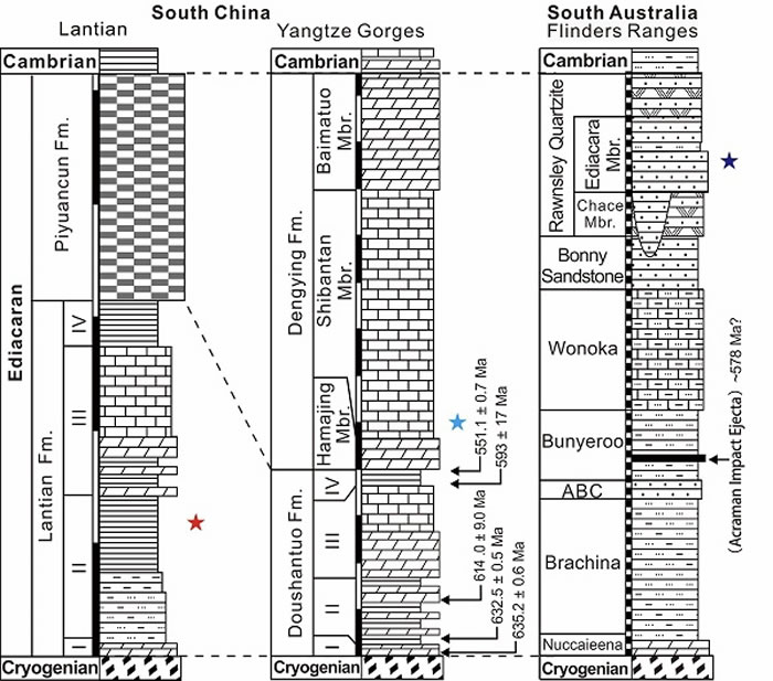 华南埃迪卡拉纪早期蓝田生物群（635-580 Ma）、埃迪卡拉纪晚期石板滩生物群（551-539 Ma）和澳大利亚埃迪卡拉生物群（560-550 Ma）的地层时