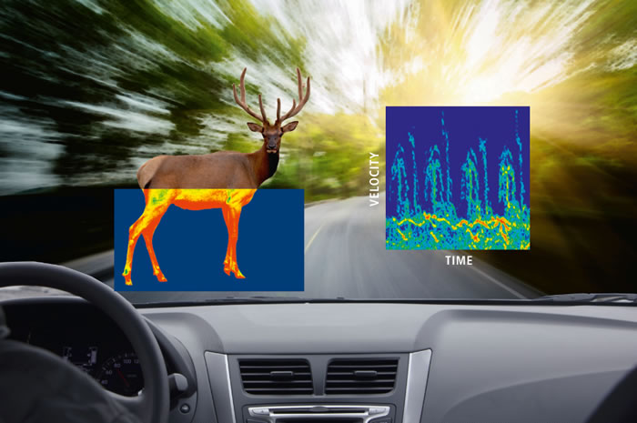 德国研究人员研发Salus汽车雷达 可以区分过马路的是人或动物