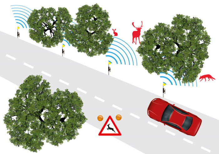 德国研究人员研发Salus汽车雷达 可以区分过马路的是人或动物