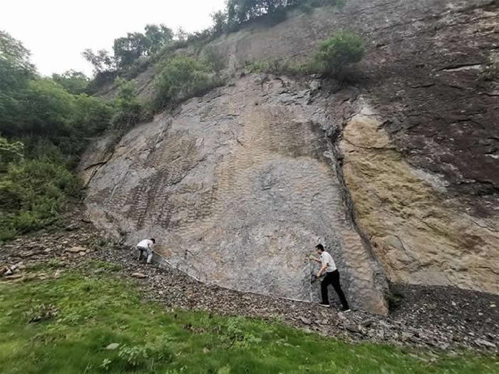 重庆北碚缙云山首次发现远古巴蜀湖波痕遗迹 形成时间约为侏罗纪早期