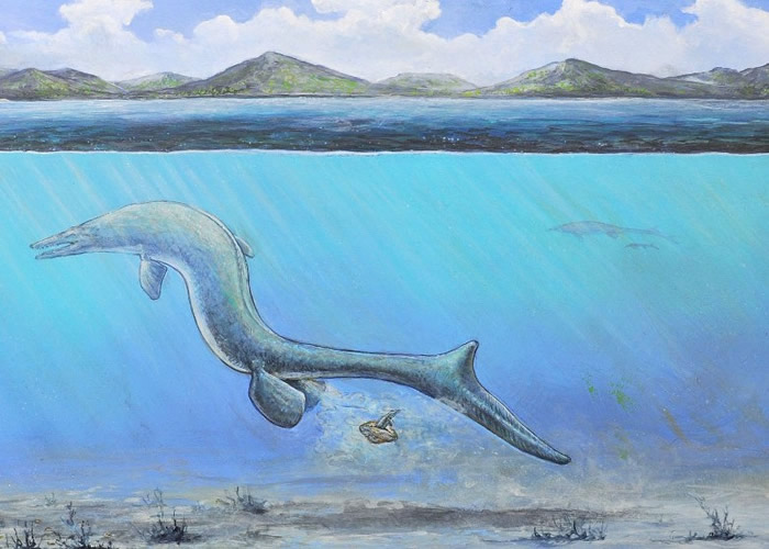 研究人员指化石应是一种已绝种的巨型海洋爬虫类产下的蛋。图为画家构想图。