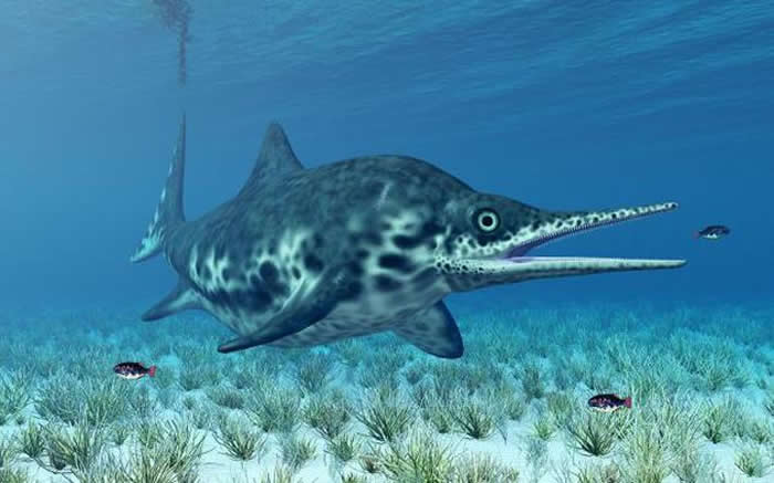 鱼龙是一种生活在恐龙时代的海洋爬行动物，现早已灭绝消失，它看上去像凶猛的巨型海豚，美国内华达州发现的是迄今为止第二古老的怀胎鱼龙化石。