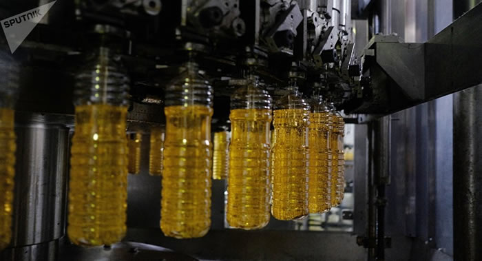 俄罗斯肿瘤学家呼吁拒绝食用葵花籽油 称会诱发癌症发展