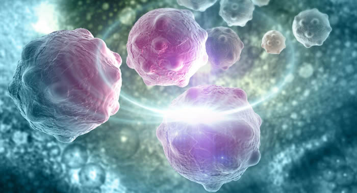 中俄科学家提出一种基于分子生物学发现早期肾癌的方法