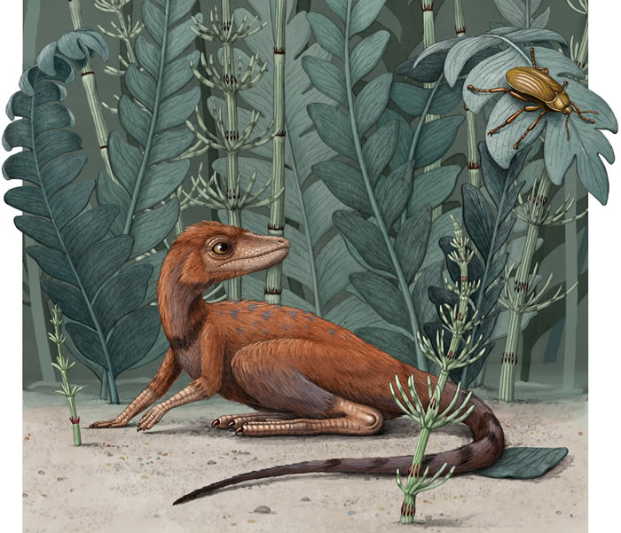 马达加斯加2.37亿年前的爬行动物Kongonaphon kely可能为恐龙的起源提供线索