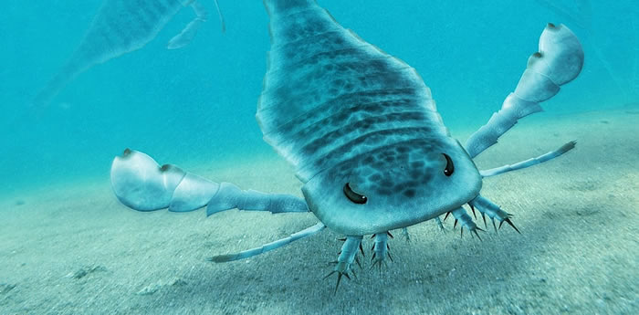 发现有史以来体型最大的海蝎化石——莱茵耶克尔鲎Jaekelopterus rhenaniae