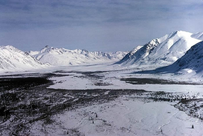 北极永久冻土融化有可能释放出沉睡数万年甚至数十万年的病毒和细菌