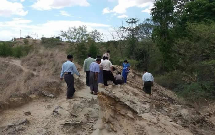 缅甸马圭省村民放羊时发现奇怪头骨化石