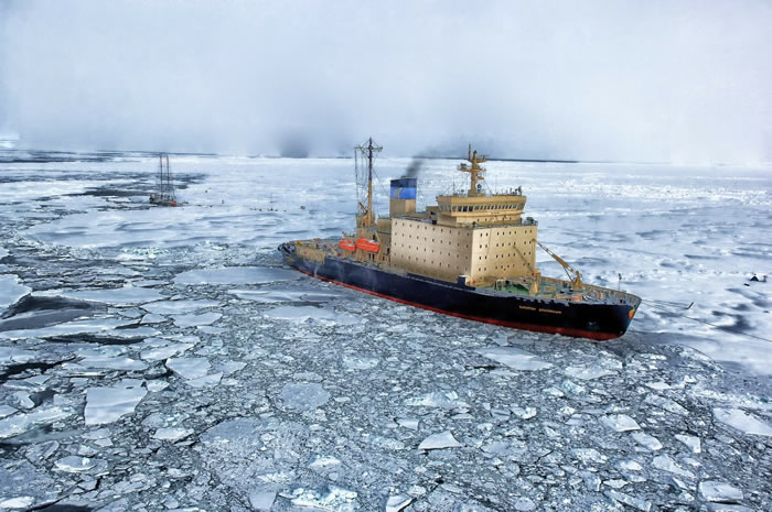北冰洋初级生产量的增加是由浮游植物丰度增加而不是海冰流失所驱动的