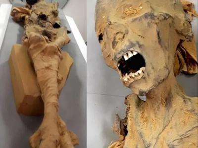 埃及1881年发现的代尔埃尔巴哈里皇家墓穴中3000年前“尖叫女人木乃伊”死于心脏病发