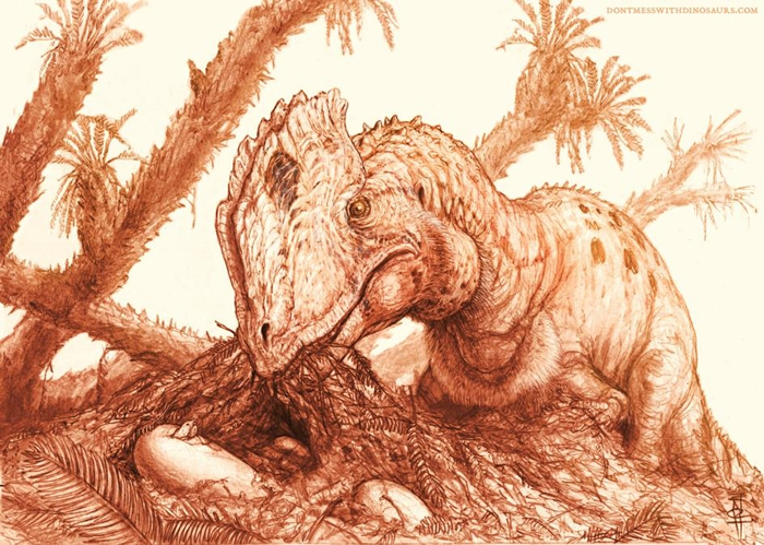 这幅重建图显示一只成年魏氏双脊龙（Dilophosaurus wetherilli）正在照料一窝孵化中的蛋。 ILLUSTRATION BY BRIAN ENG