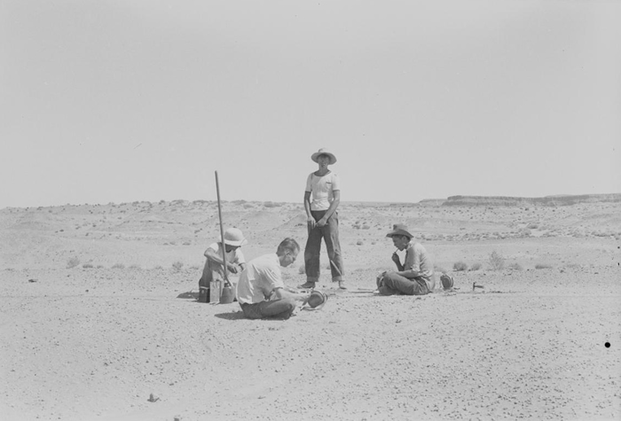 这张照片拍摄于1942年的发掘现场，当时加州大学柏克莱分校的科学家正在发掘一副双脊龙化石。 UNIVERSITY OF CALIFORNIA MUSEUM OF
