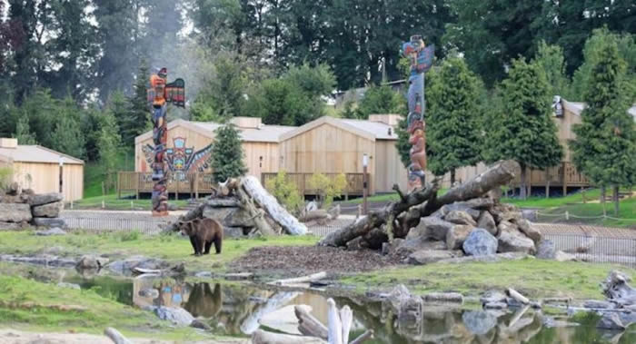 比利时Pairi Daiza动植物园为游客提供可观赏野生动物的客房