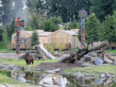 比利时Pairi Daiza动植物园为游客提供可观赏野生动物的客房