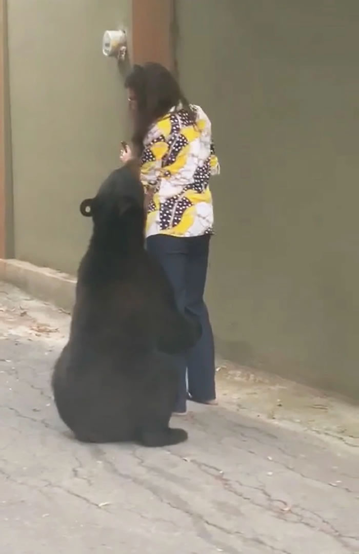 墨西哥“色狼”黑熊疑似又再出现 对一名女性乱闻