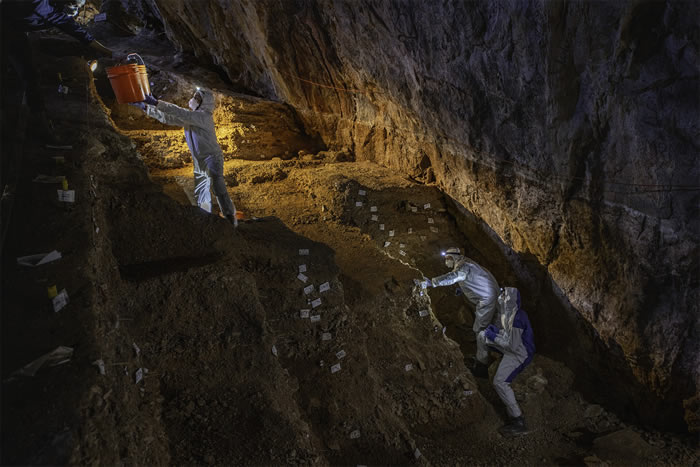 墨西哥“奇基韦特”洞穴新发现提示3万年前现代人类就已在美洲大陆上栖息繁衍