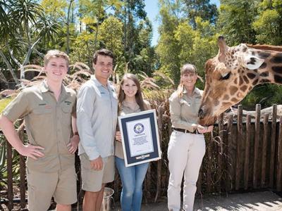 澳洲昆士兰省贝尔瓦动物园12岁雄性长颈鹿荣登吉尼斯“世界上最高的在世长颈鹿”