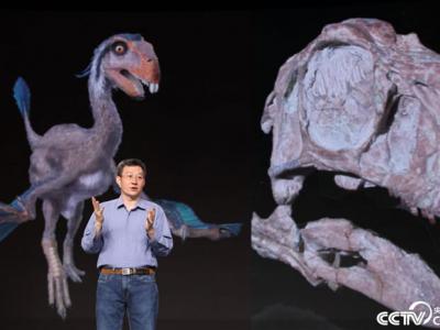 古生物学家徐星：讲述恐龙化石里的中国故事