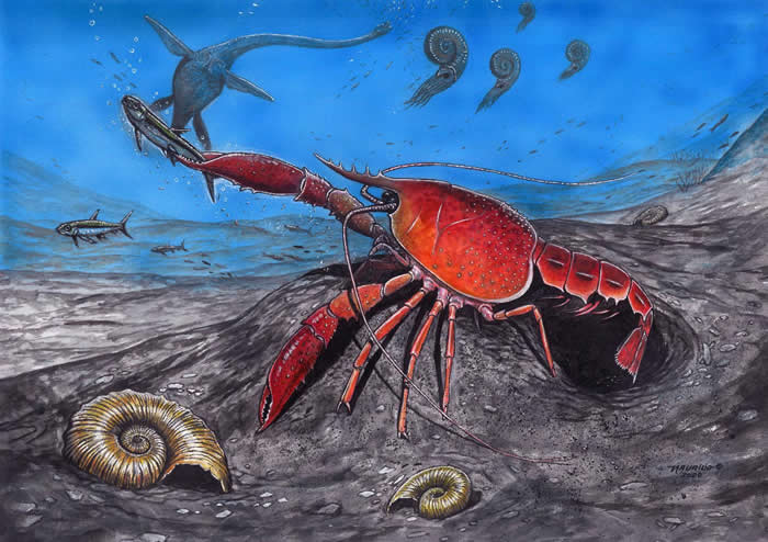 巴西古生物学家在南极发现新型淡水小龙虾化石 生活在距今7500万年前