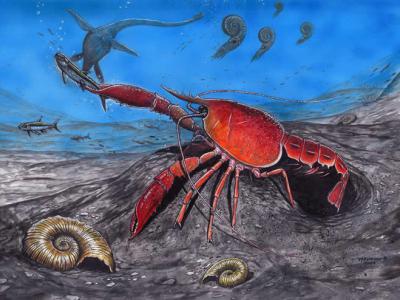 巴西古生物学家在南极发现新型淡水小龙虾化石 生活在距今7500万年前