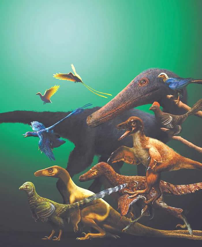 小型兽脚类恐龙有多起近似飞行的独立演化事件