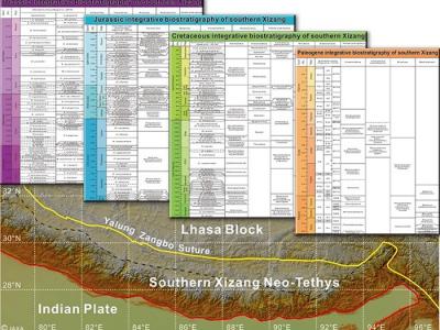 青藏高原三叠纪—古近纪生物地层学研究取得新进展