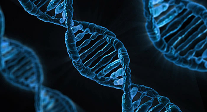 人类DNA中检测出以前从未有过的祖先痕迹