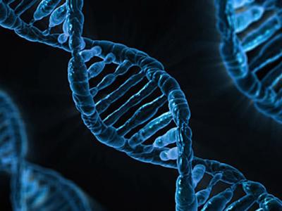 人类DNA中检测出以前从未有过的祖先痕迹