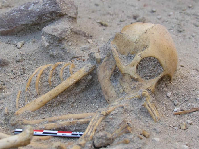 埃及2000年前动物大墓穴发现奇怪印度猴子墓穴