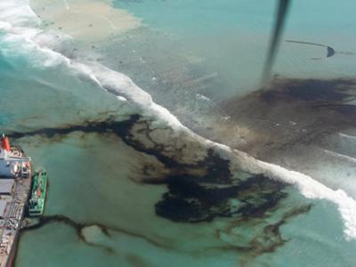 日本货轮若潮号在印度洋岛国毛里求斯触礁漏油 海滩惊现13只飘燃油味的海豚尸体