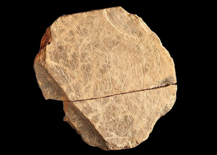 英国王家属地泽西岛莱斯瓦兰出土1.5万年前石块 是不列颠群岛最古老艺术品