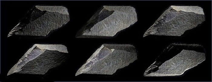 英国王家属地泽西岛莱斯瓦兰出土1.5万年前石块 是不列颠群岛最古老艺术品