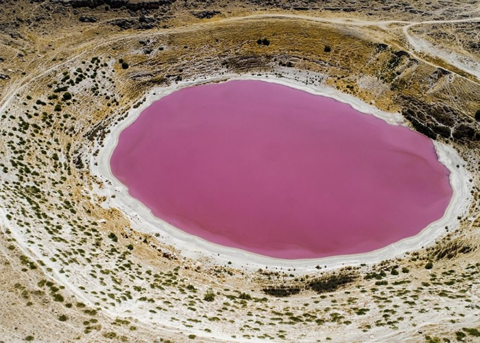 土耳其科尼亚的梅尔奥布鲁克湖（Meyil Obruk Lake）变成粉红色