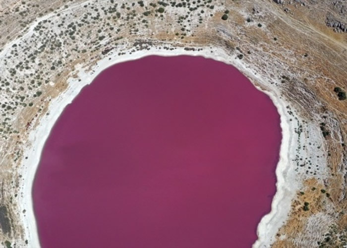 土耳其科尼亚的梅尔奥布鲁克湖（Meyil Obruk Lake）变成粉红色