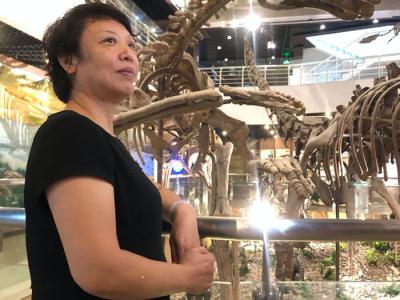探秘中国古动物馆：那些不可思议的远古生物