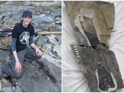英国苏格兰女古生物学家海边跑步被石头绊倒 意外发现1.66亿年前剑龙化石