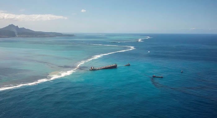日本货轮在毛里求斯触礁重油外泄 海豚妈妈不离濒死宝宝最后母子双亡