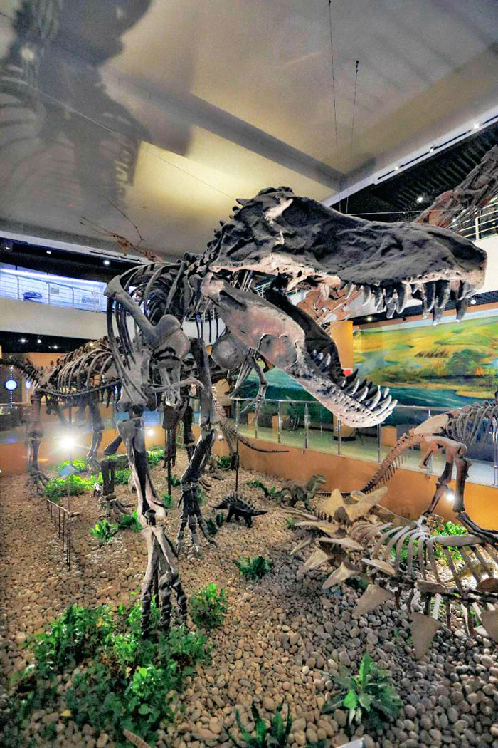 北京动物园不远处藏着亚洲最大“侏罗纪公园”