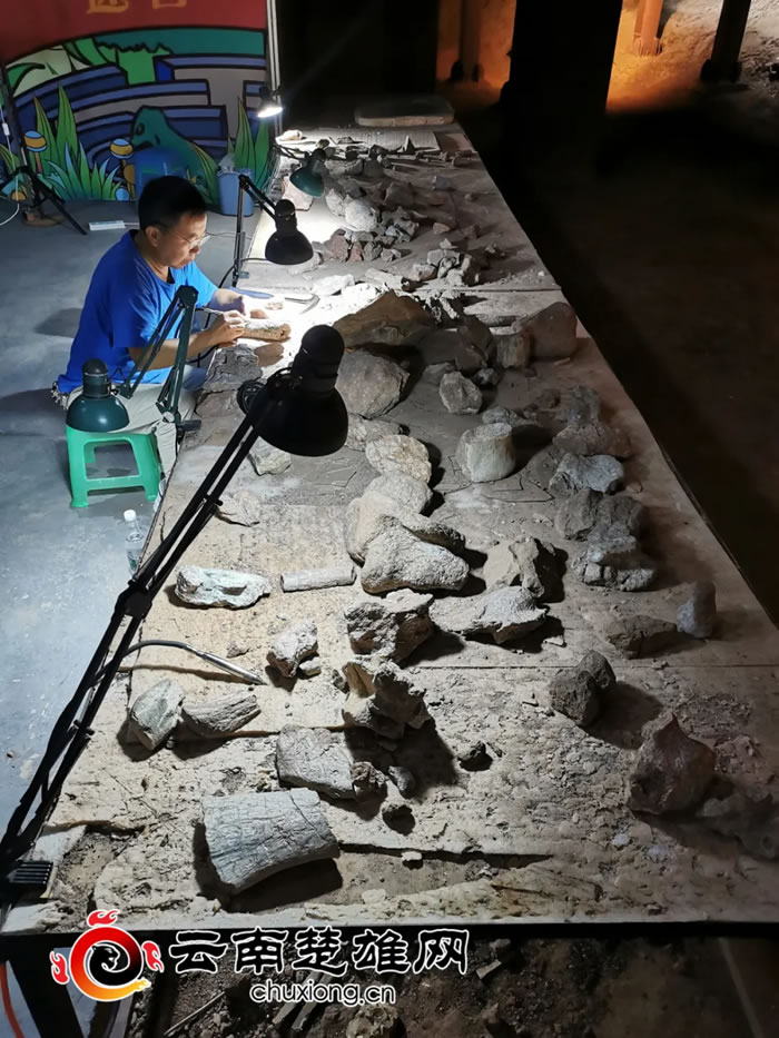 禄丰恐龙谷博物馆化石修复师这样“复活恐龙”